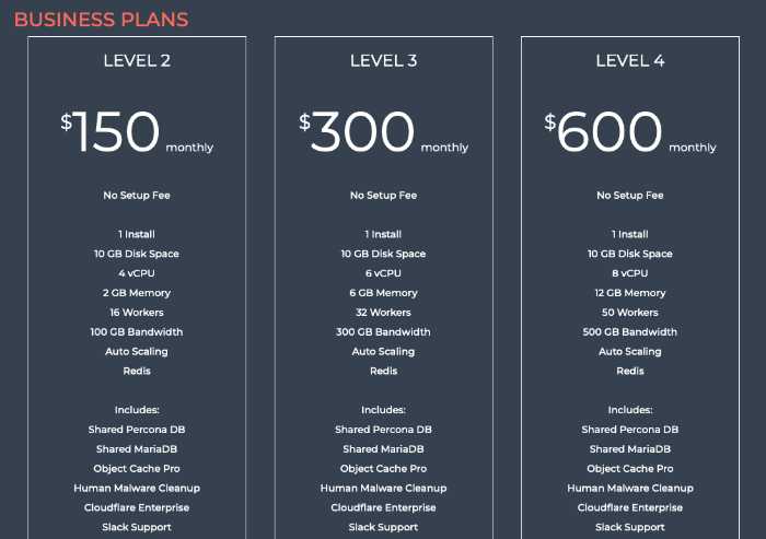 Pricing image of business packages for managed WordPress hosting Convesio